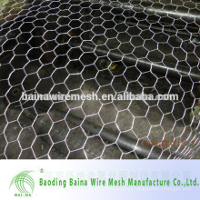 Mejor popular aviary cage wire mesh